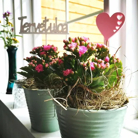 Maison d'hôtes Lokinlaulu