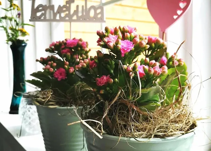 Гостевой дом Lokinlaulu